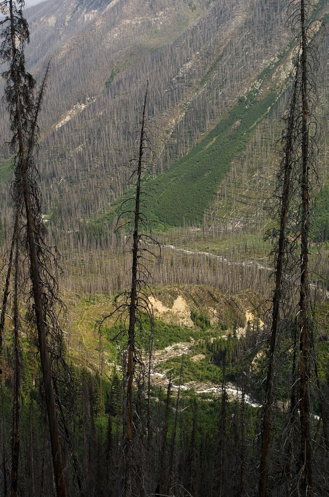 Canada-70.jpg